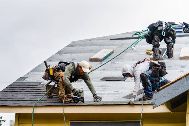 Professional Storm Damage Roof Repair technician working in Hancock, MI